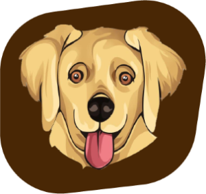 GoldenDog – GDOG ICO GoldenDog – GDOG ICO